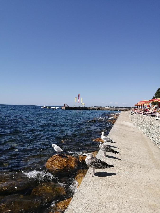 Apartments Sven-Marino Porec Esterno foto
